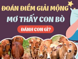 Con Bò Số Mấy