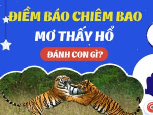 Con Cọp Số Mấy