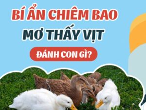 Con Vịt Số Mấy