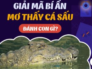 Mơ Thấy Cá Sấu