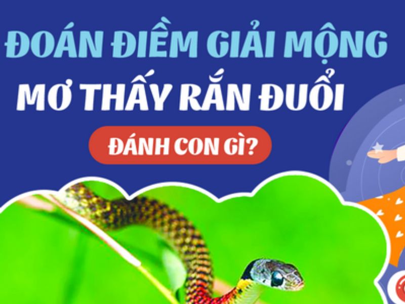 Nữ Mơ Thấy Rắn Đuổi Mình