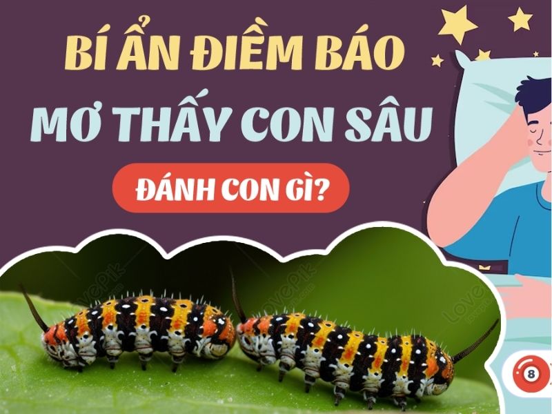 Giải Mã Giấc Mơ Thấy Sâu Bọ Và Con Số Liên Quan