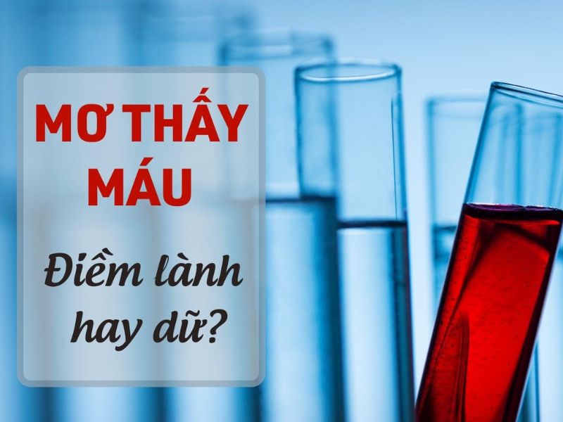 Mơ Thấy Máu: Giải Mã Ý Nghĩa Giấc Mơ