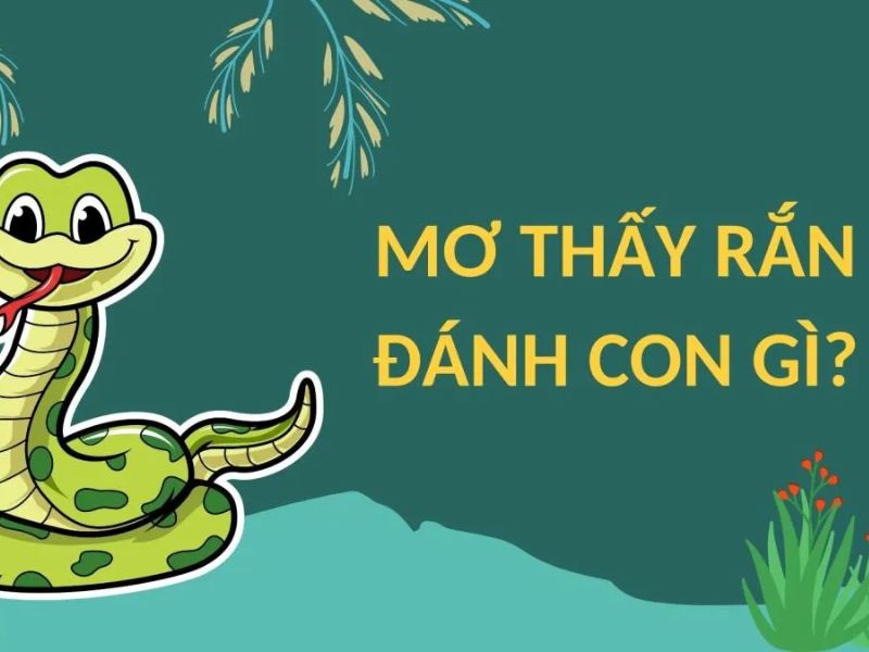 Những Con Số May Mắn Khi Mơ Thấy Rắn Đuổi Mình