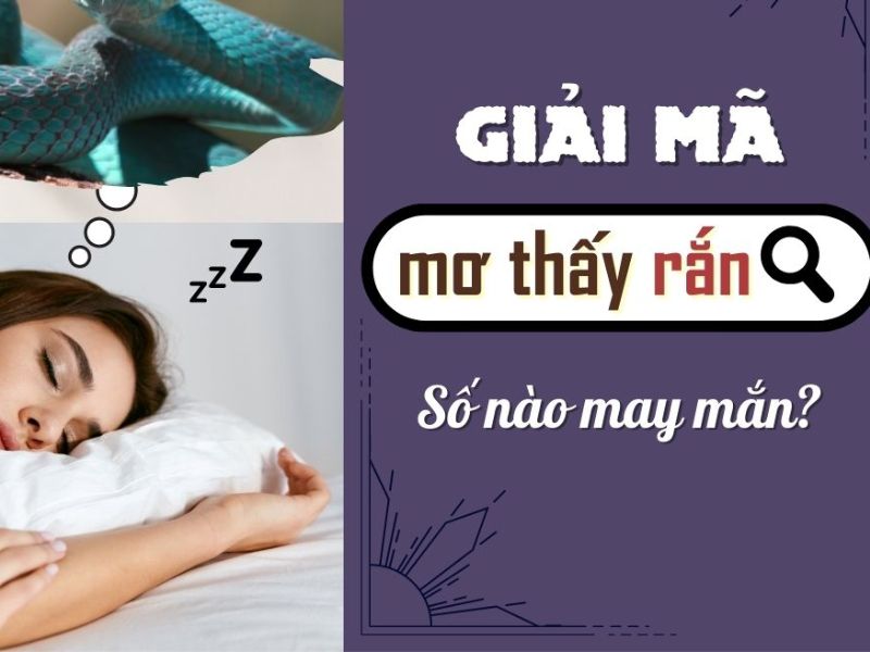 Nữ Mơ Thấy Rắn Đuổi Mình: Ý Nghĩa Giấc Mơ